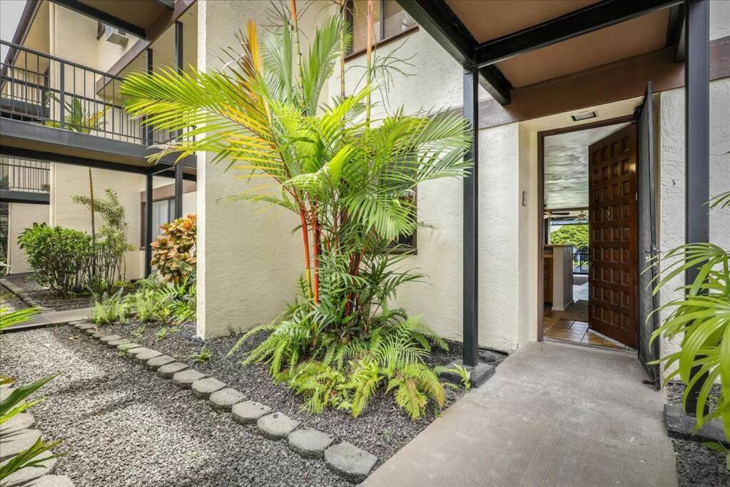 Beautiful 2/2 Condo In Kailua Kona. Ocean View! Exteriér fotografie
