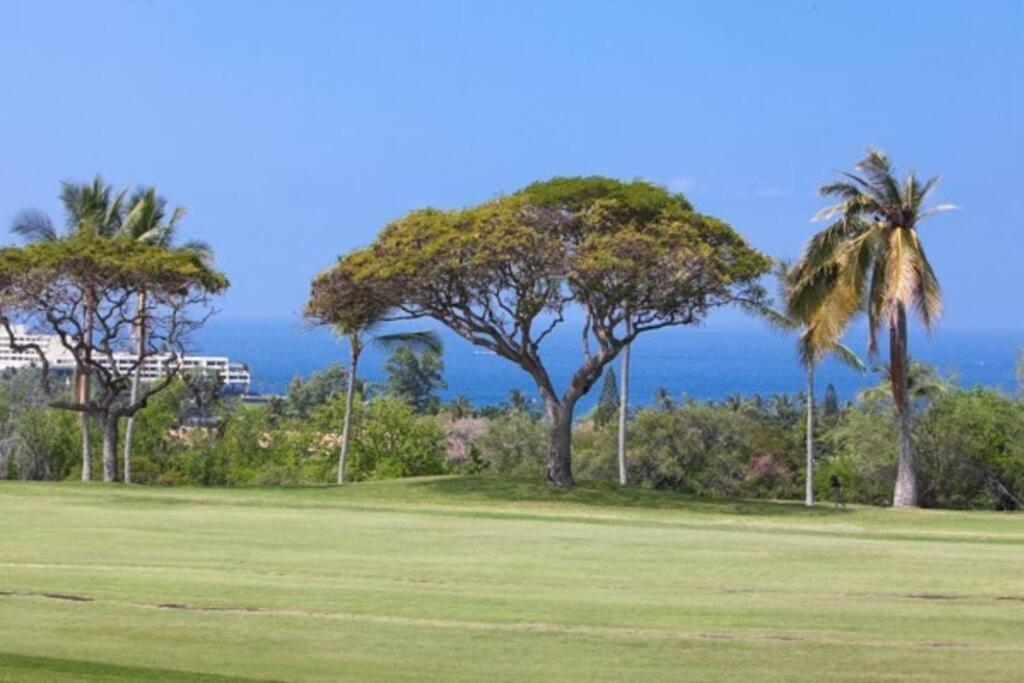 Beautiful 2/2 Condo In Kailua Kona. Ocean View! Exteriér fotografie